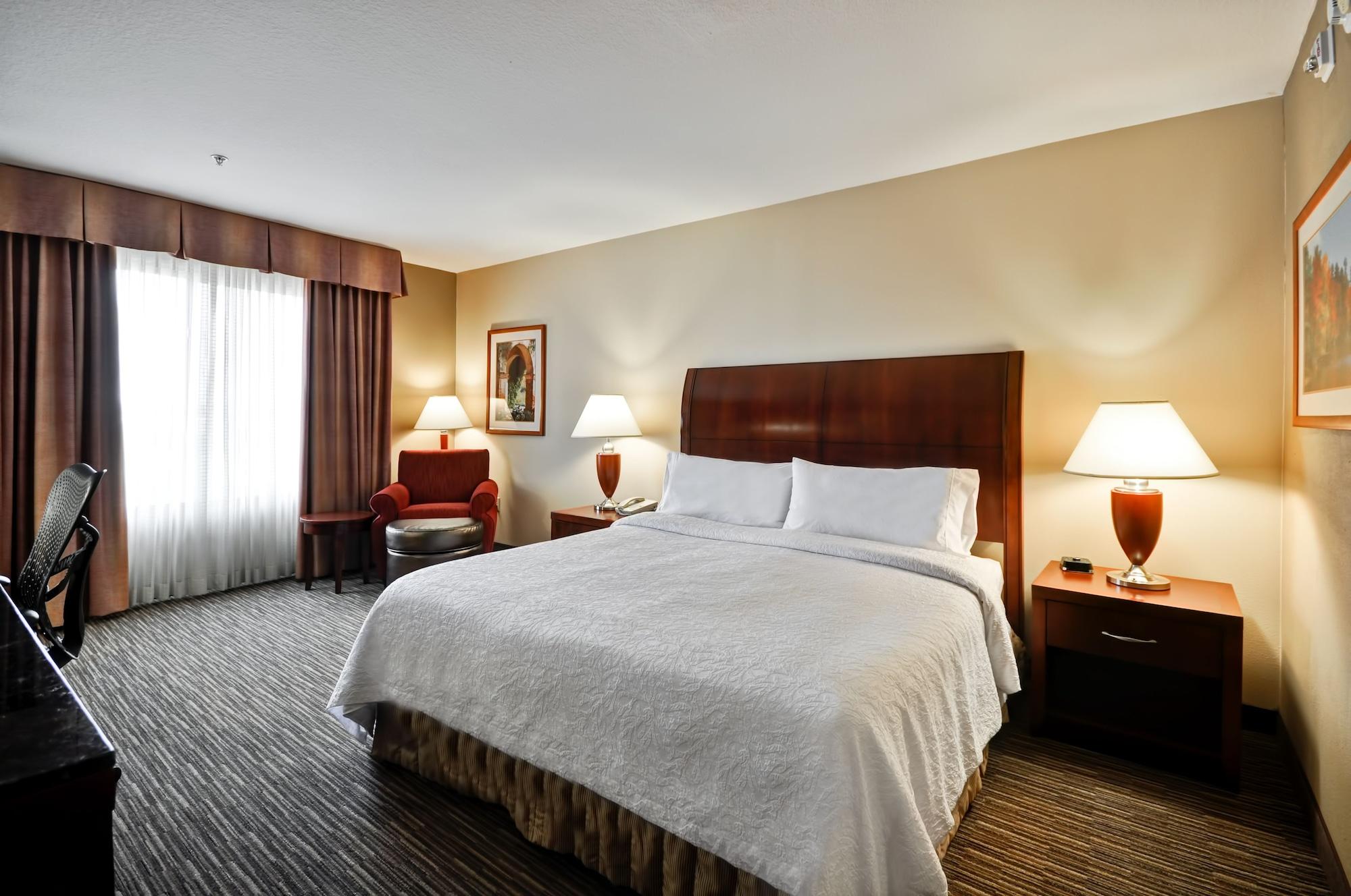 Hilton Garden Inn Tampa Northwest/Oldsmar Exterior foto