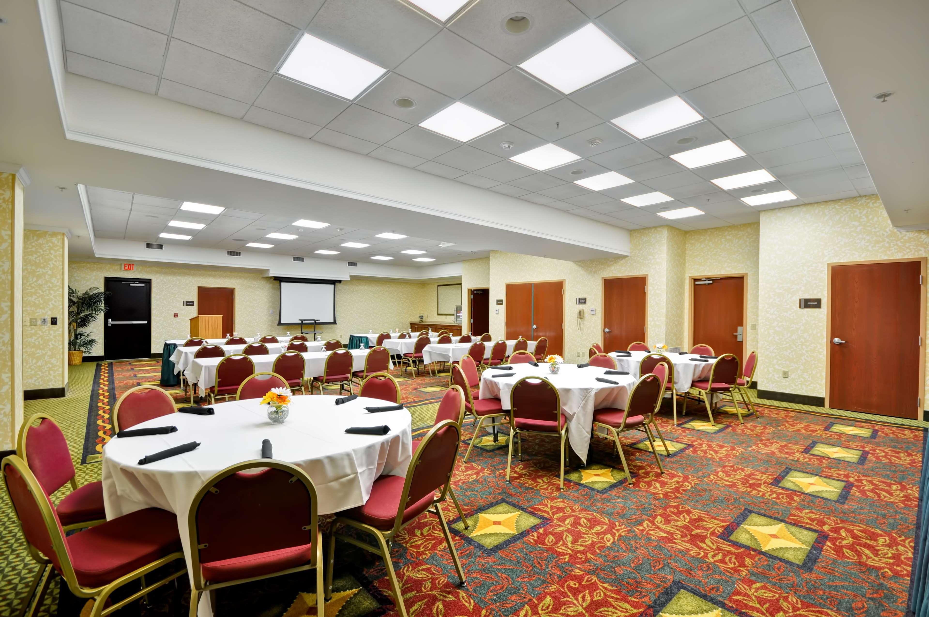 Hilton Garden Inn Tampa Northwest/Oldsmar Exterior foto