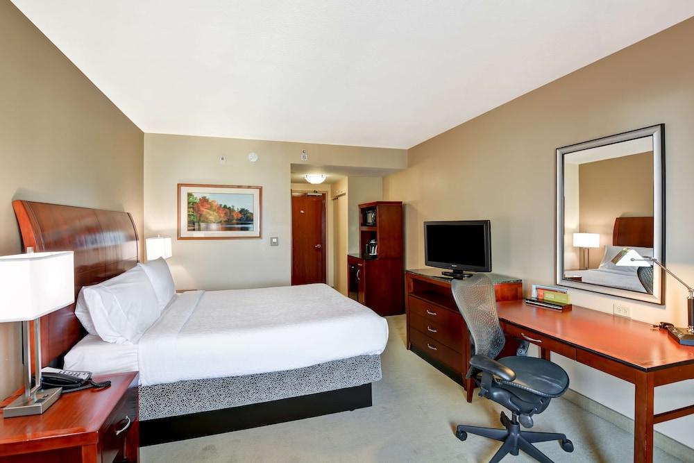 Hilton Garden Inn Tampa Northwest/Oldsmar Exterior foto