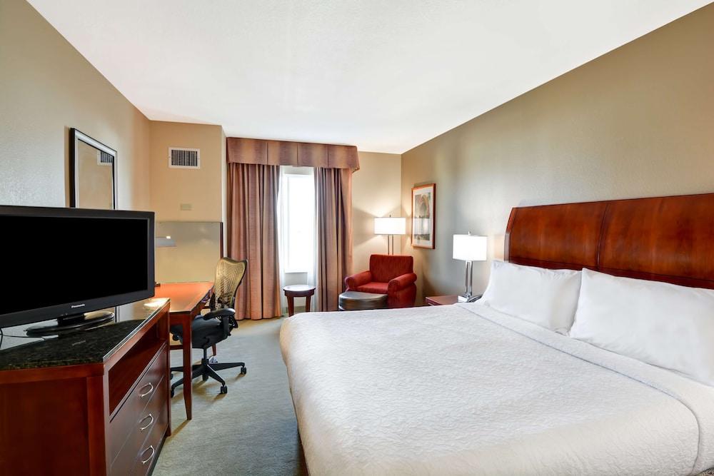 Hilton Garden Inn Tampa Northwest/Oldsmar Exterior foto