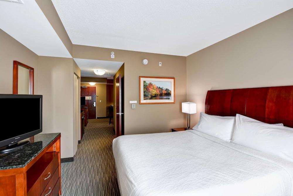 Hilton Garden Inn Tampa Northwest/Oldsmar Exterior foto